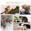 Étagère murale pour chat Pawhut, 4 pièces pour chat