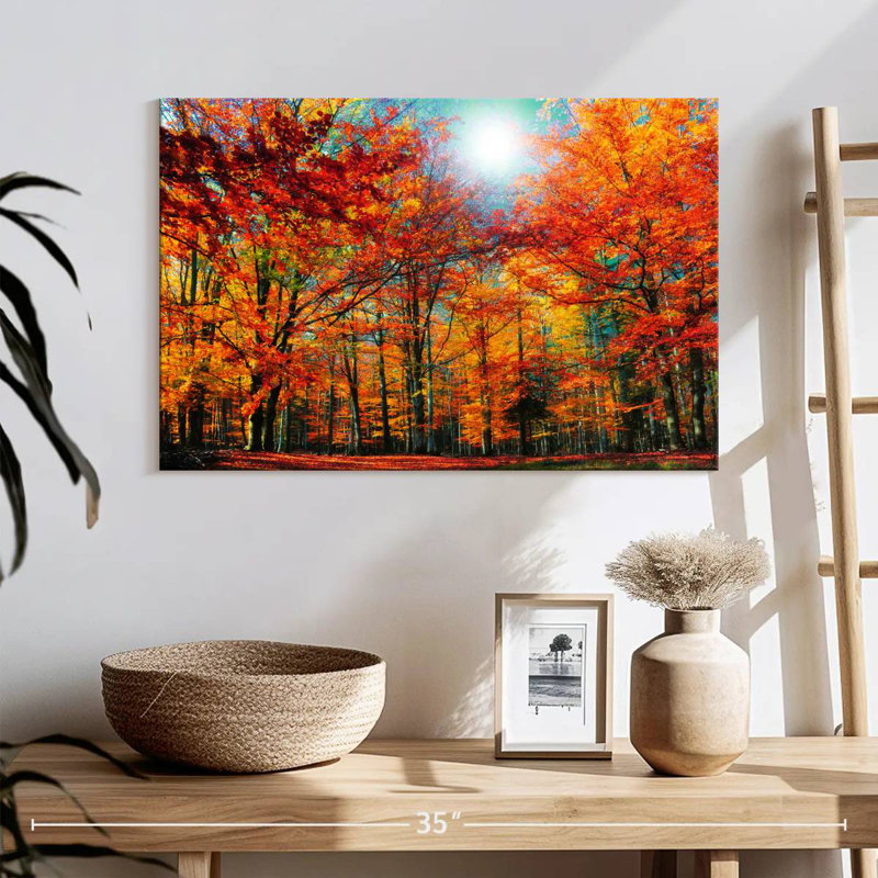 Alvord Autumn Season Beech Trees, 16" H x 24" W