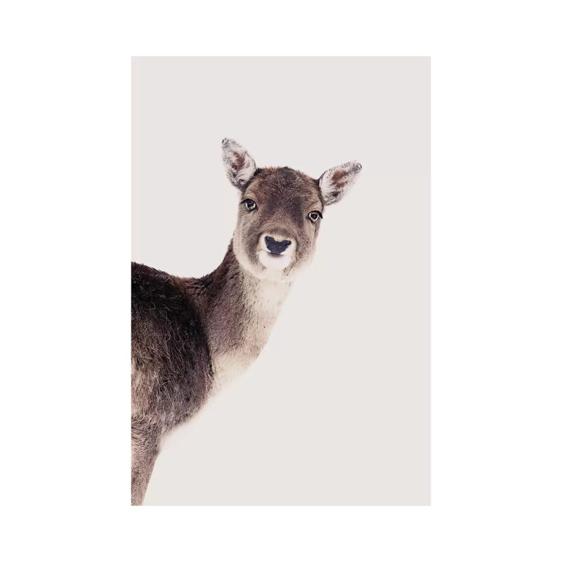 Deer Peekaboo Rose by Monika Strigel - Wrapped Canvas Print, 20.32 cm H x 30.48 cm W