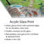 «Bird Garden» par Jo Grundy - impression non encadrée-1577302090