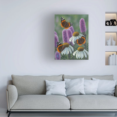 Jeff Hoff Red Admirals Canvas Art