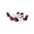 Burgundy selected