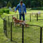 Parc pour chien pliable en métal robuste sans porte (ensemble de 2)-110945434-110945432