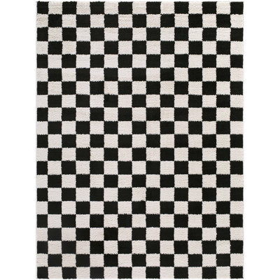 Moroccan Area Rug
