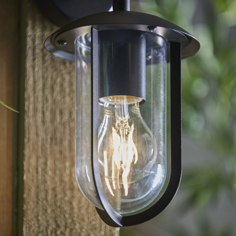 Crissyfield 24cm H Outdoor Wall Lantern