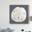 «Shell on Slate II» par Megan Meagher - reproduction d'art sur toile-370592373