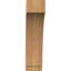 Attelle impériale du genou-31229279-29309856-31229349