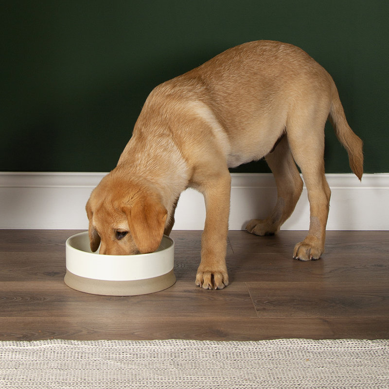 Scruffs Scandi Collection 28.156ml Pet Bowl