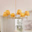 Luminaire suspendu industriel industriel à 6 lumières Boho Rattan Chandelier