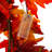 Garland 72'' in. Lighted Faux Maple Garland
