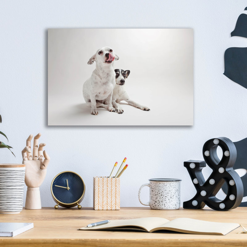 «Mouse Jack», H 12 po x l 16 po x P 0,13 po