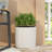 PLANTER-124449303