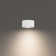 Peek LED Flush Mount
