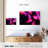 Bright Pink Jellyfish-107886782