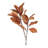 Fall Magnolia Leaf Spray