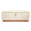Banc de rangement rembourré en velours de 47,2 po-1866810891