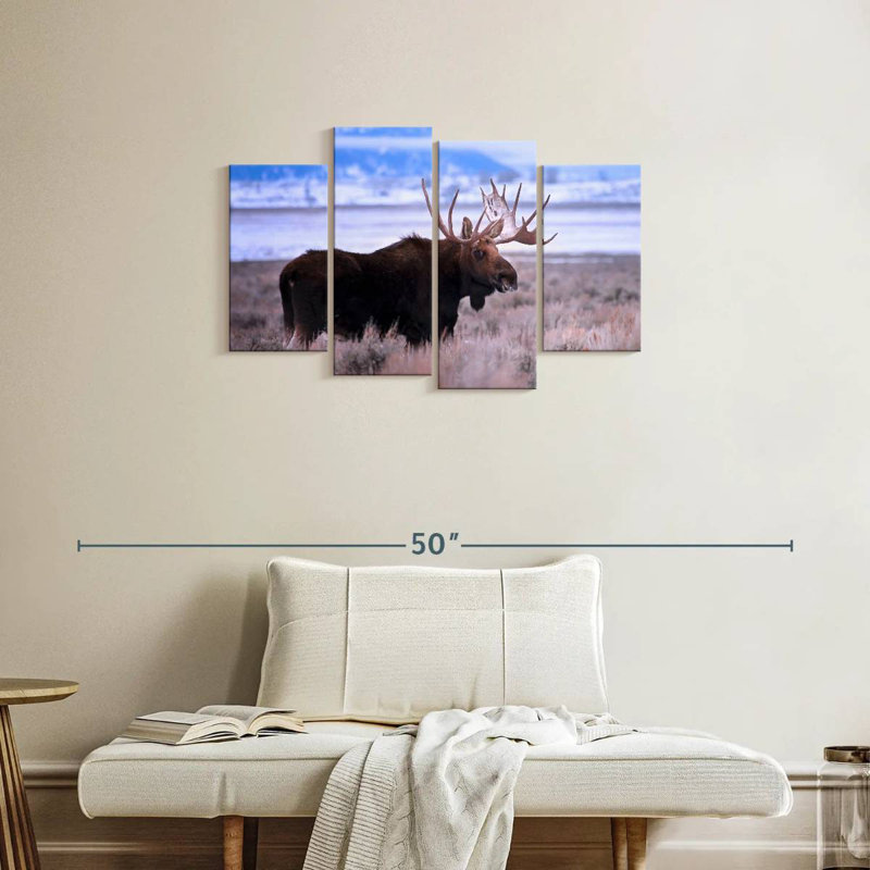 Brampt Teton Bull Moose, 22" H x 36" W