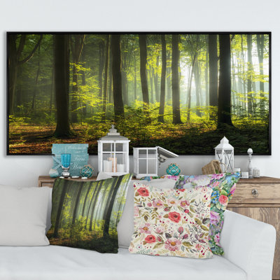 Mystic Morning Forest Sunrise - Traditional Canvas artwork