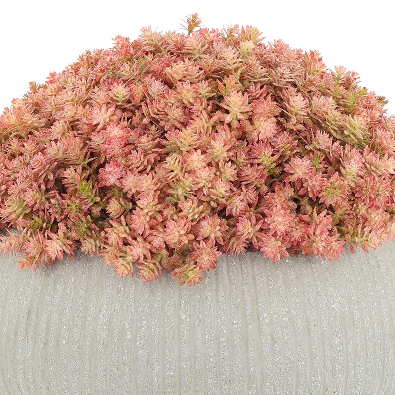 Rizal Faux Sedum Plant in Fiberstone Pot