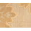 Implied Damask Area Rug in Beige/Gold/Neutral-40705357