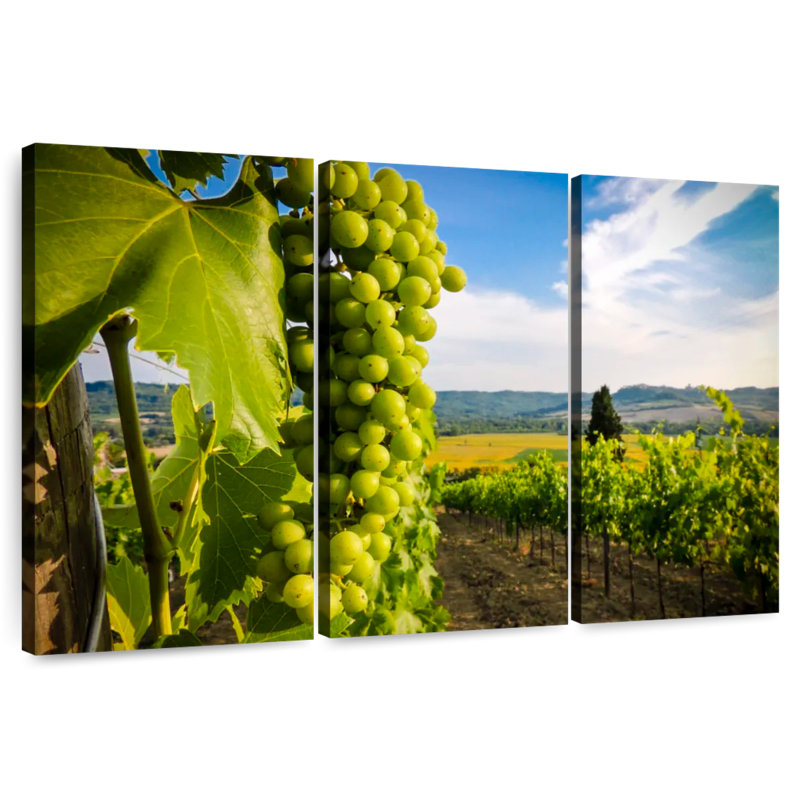 Yarlin Green Grape Vineyard, 32" H x 50" W