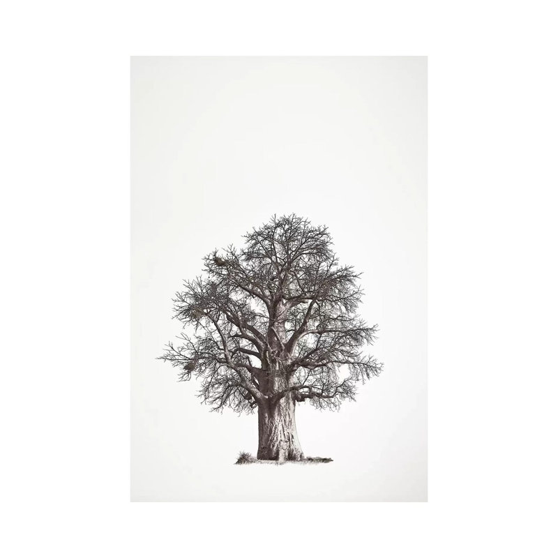 Baobab Legacy II 1 Piece Wrapped Canvas Wall Art, 66.04 cm H x 45.72 cm W x 3.175 cm D