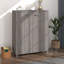 Jezelle 16 Pair Shoe Storage Cabinet-47183188