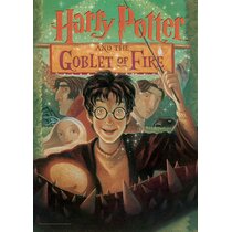 Holographic Wanted Poster Harry Potter