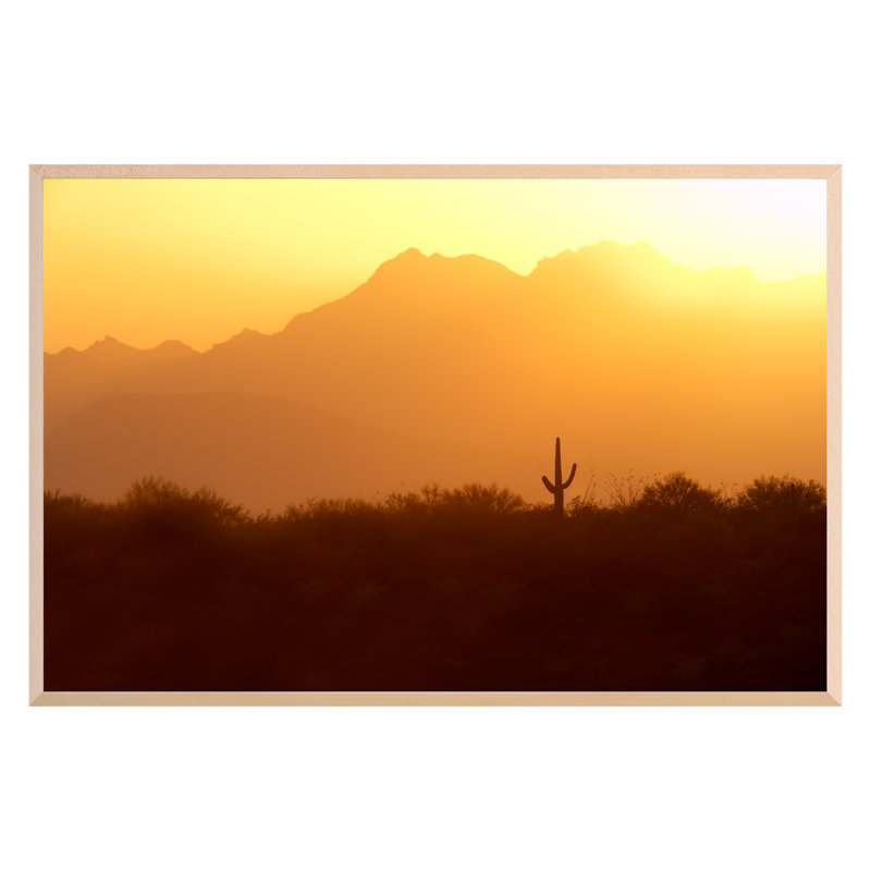 Parc national de Saguaro, Arizona 127836, Cadre simple érable érable