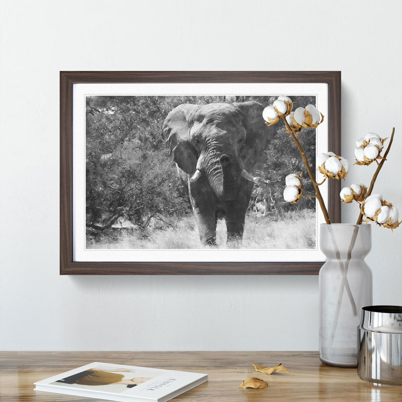 The Majestic Elephant - Picture Frame Photograph Print, 24cm H x 33cm W x 2cm D, Walnut
