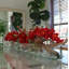 Driftwood Cymbidium Orchids Centerpiece in Glass Planter-1216674882-1216674883