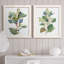 «Seeded Eucalyptus I», ensemble de 2 reproductions d'art sur toile-1047157799-1047157792
