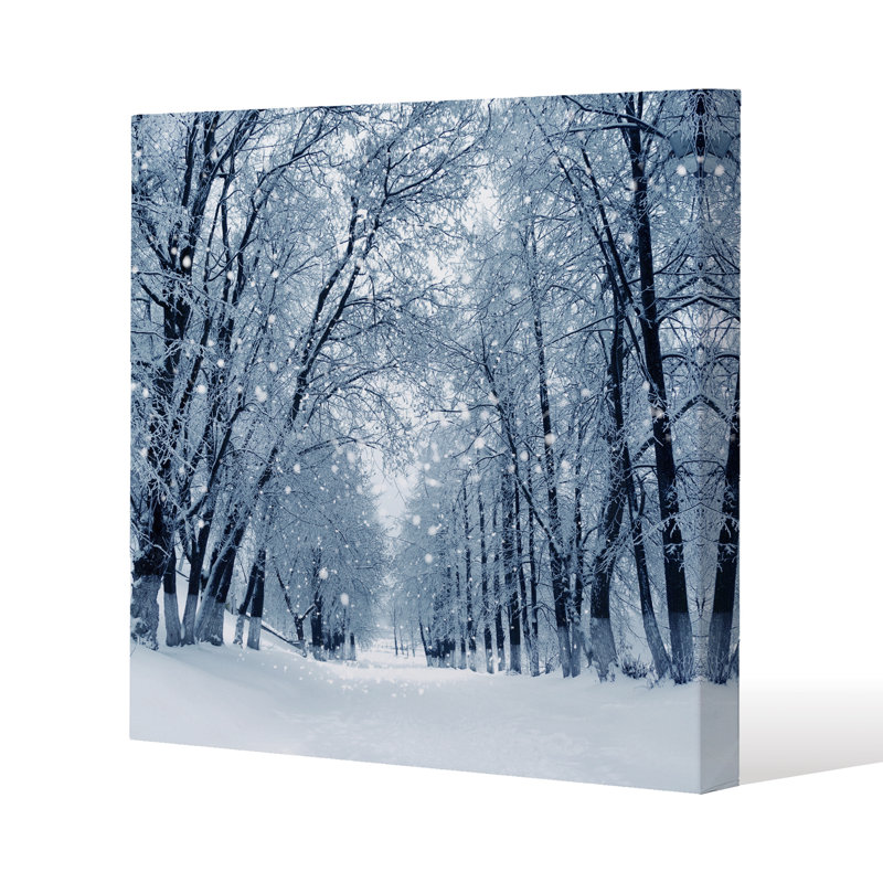 Snowstorm In Park - Wrapped Canvas Print, 120cm H x 120cm W