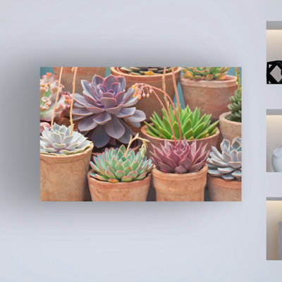 «Succulents In Terracotta Pots III» par Cora Niele - photographie sur toile tendue