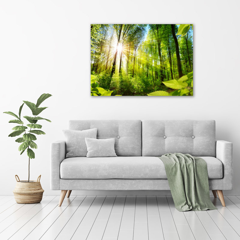 Glass Print Wall Art 100X70cm Image Printed On Glass Decorative Wall Picture Behind Toughened / Tempered Safety Real Glass For Kitchen & Living Room Theme:Forest In The Sun