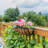 Kartz Metal Railing Planter-1080885845