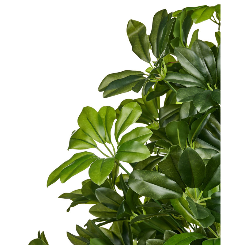 Artificial Plant UMBRELLA TREE 175 cm Green