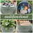 Container Hose Pot-3133956