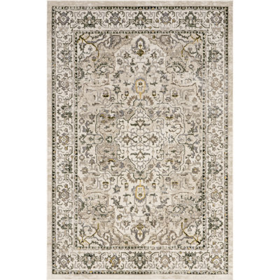Cady SpinClean Machine Washable Transitional Area Rug