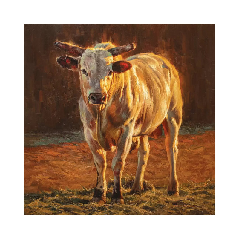 Rodeo Gold by Mark McKenna - Painting on Canvas, Wrapped Canvas, 93.98cm H x 93.98cm W x 3.81cm D