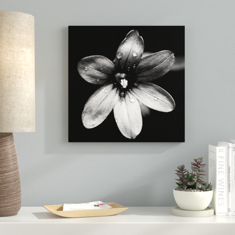 " Black And White Bloom I ", 18" H x 18" W x 1" D, Wrapped Canvas