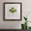 «Pressed Clover I», reproduction encadrée de qualité supérieure - prête à être accrochée-1872520561-1872557681-1872557682