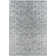 Oriental Indoor Rug
