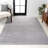 Asaiah Solid Low-Pile Light Gray Rug-1481165174
