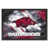 Arkansas Razorbacks