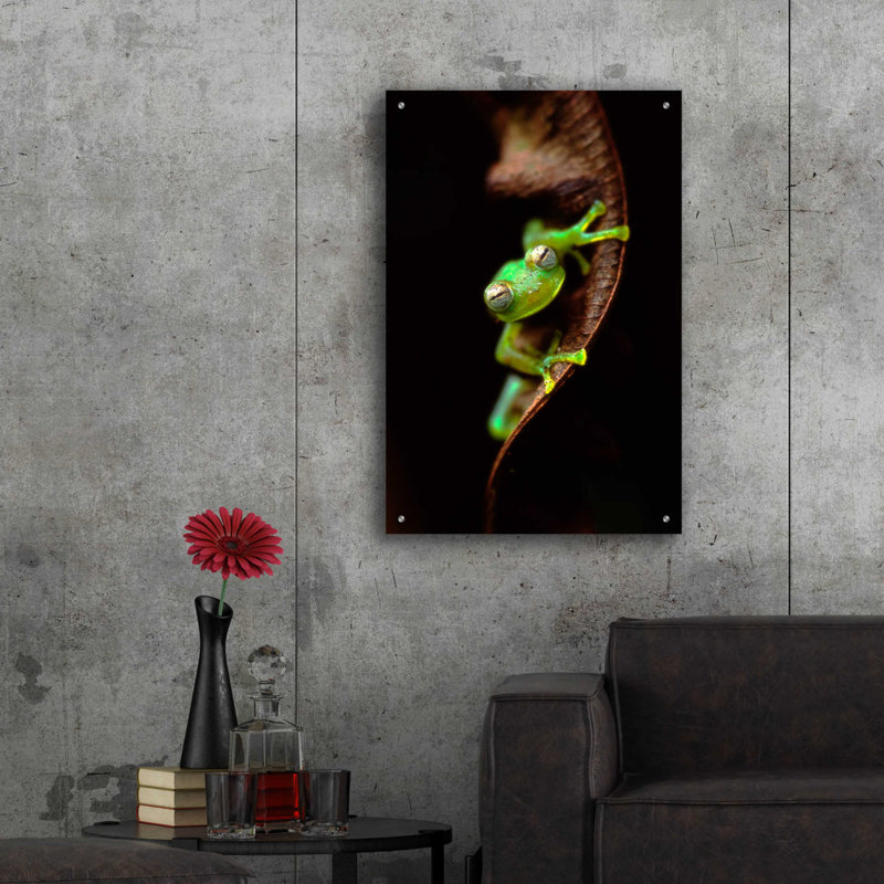 «Portrait de grenouille» par Thomas Haney, H 36 po x l 24 po x P 0,2 po