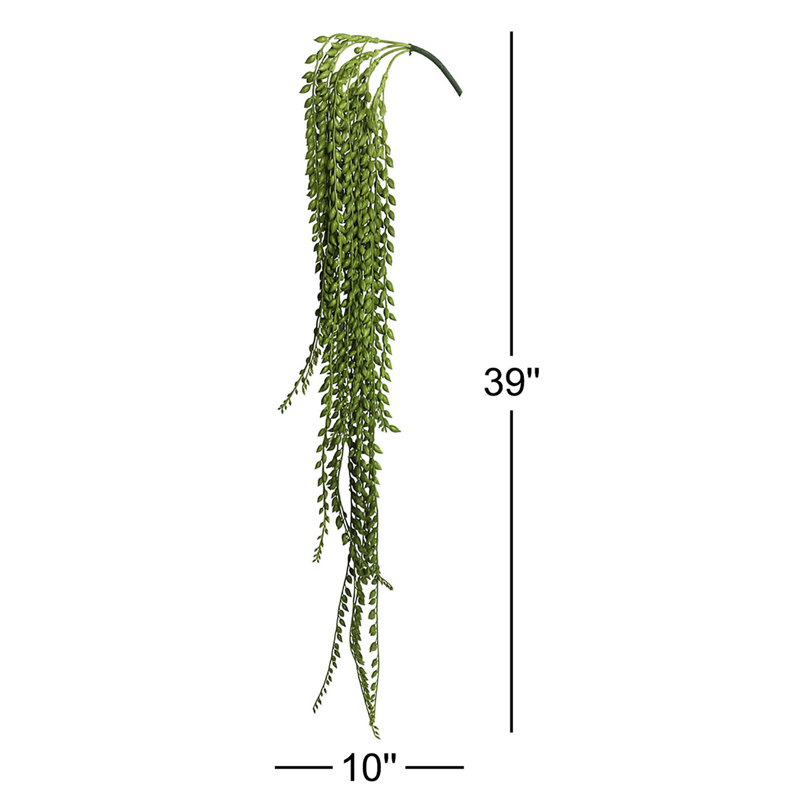39" Senecio Succulent