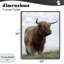 Giclée encadrée «Restland Look Highland» par Marcus Prime-2046605833-2046605836