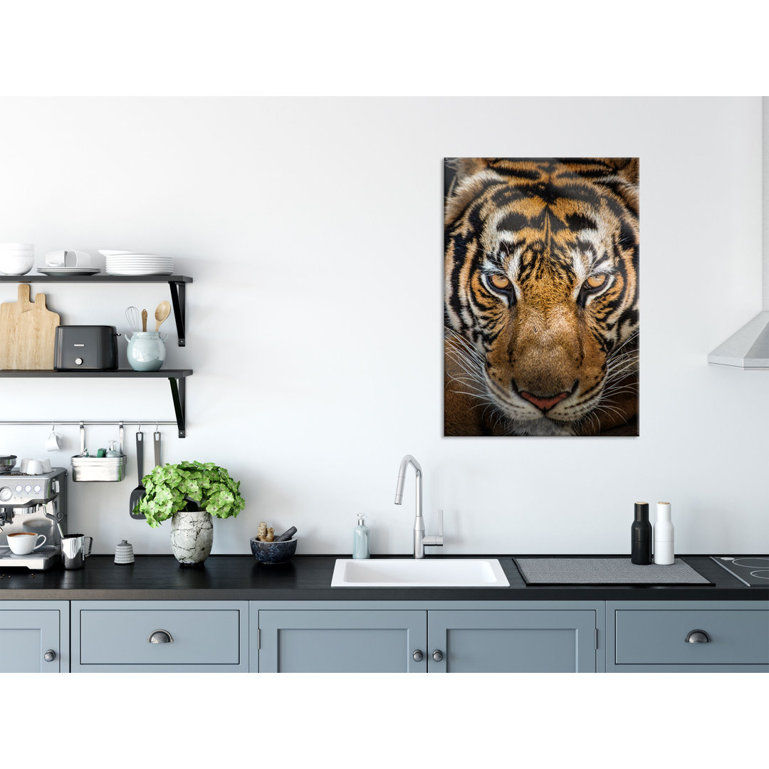 Glasbild Wandbild Auf Echtglas Tiger Mit Hellbraunen Augen Inkl. Aufhängung Und Abstandshalter LF9668