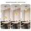 1 - Light Single Globe LED Pendant